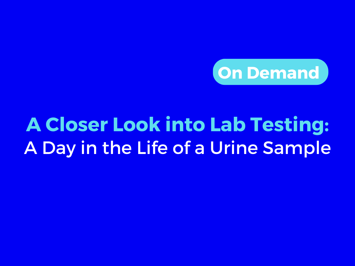 inside-laboratory-testing-a-day-in-the-life-of-a-urine-sample